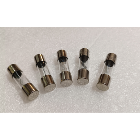 Pack 5 Fusibles AGU 60 Amp