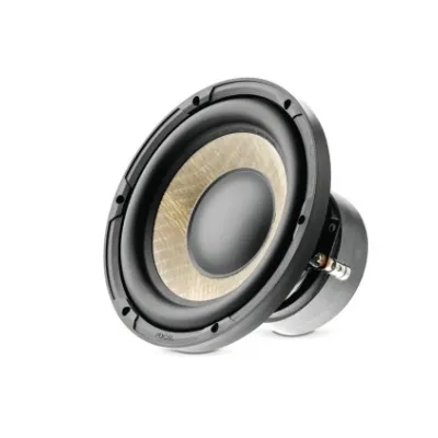 Kit Sub Woofer P20FE
